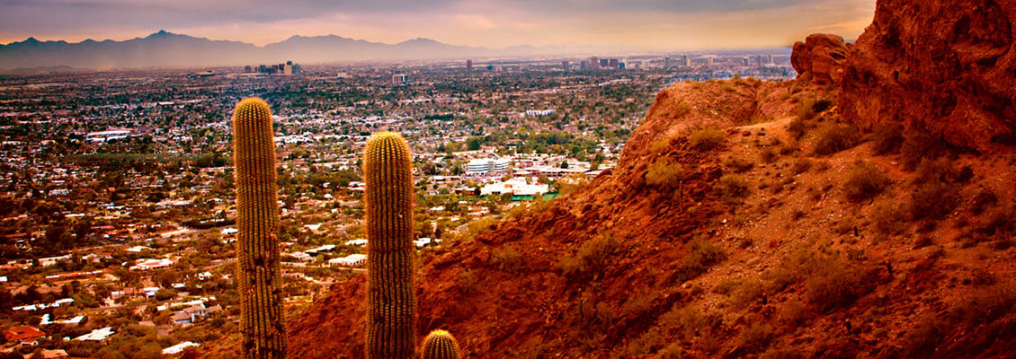 Savage Online Marketing Group - Arizona Savage Online Marketing Group - Arizona
