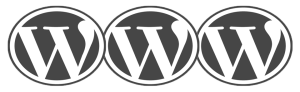 web design wordpress mesa