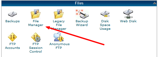 Access your file manager or FTP